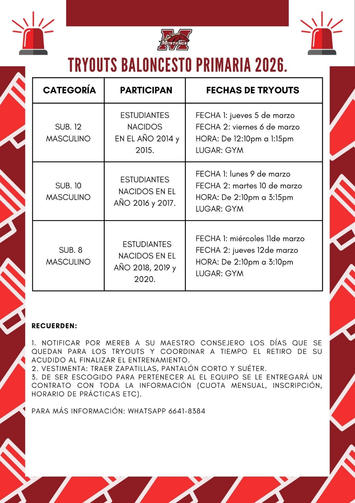 WhatsApp Image 2026-02-26 at 13.54.32 (2)