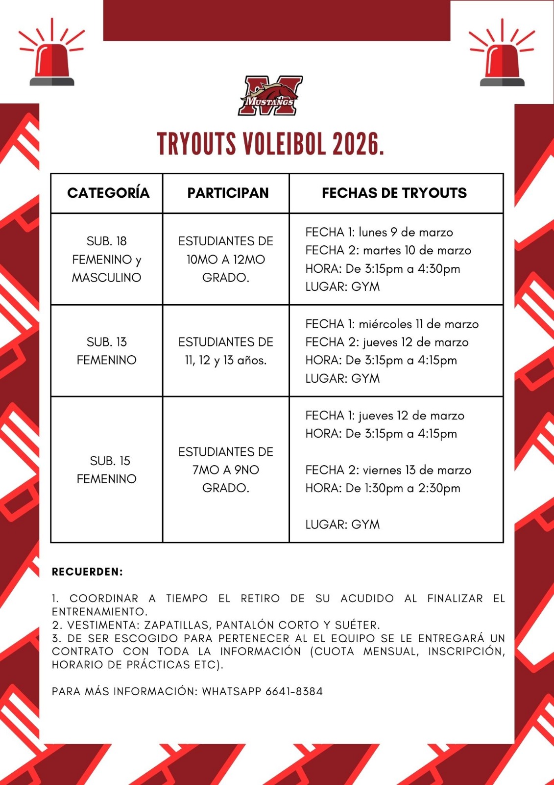 WhatsApp Image 2026-02-26 at 13.54.32 (4)