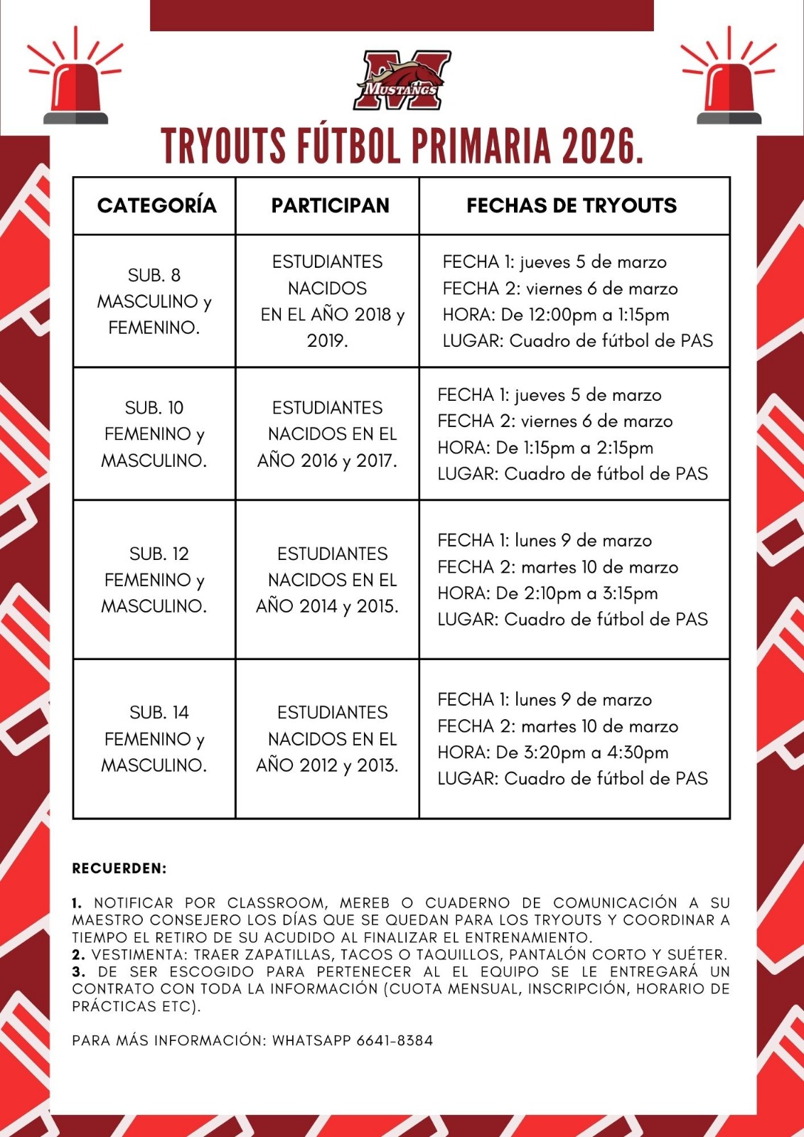 WhatsApp Image 2026-02-26 at 13.54.32